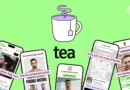 Des milliers de cartes d’identité volées par des hackers sur Tea, l’app qui voulait protéger les femmes